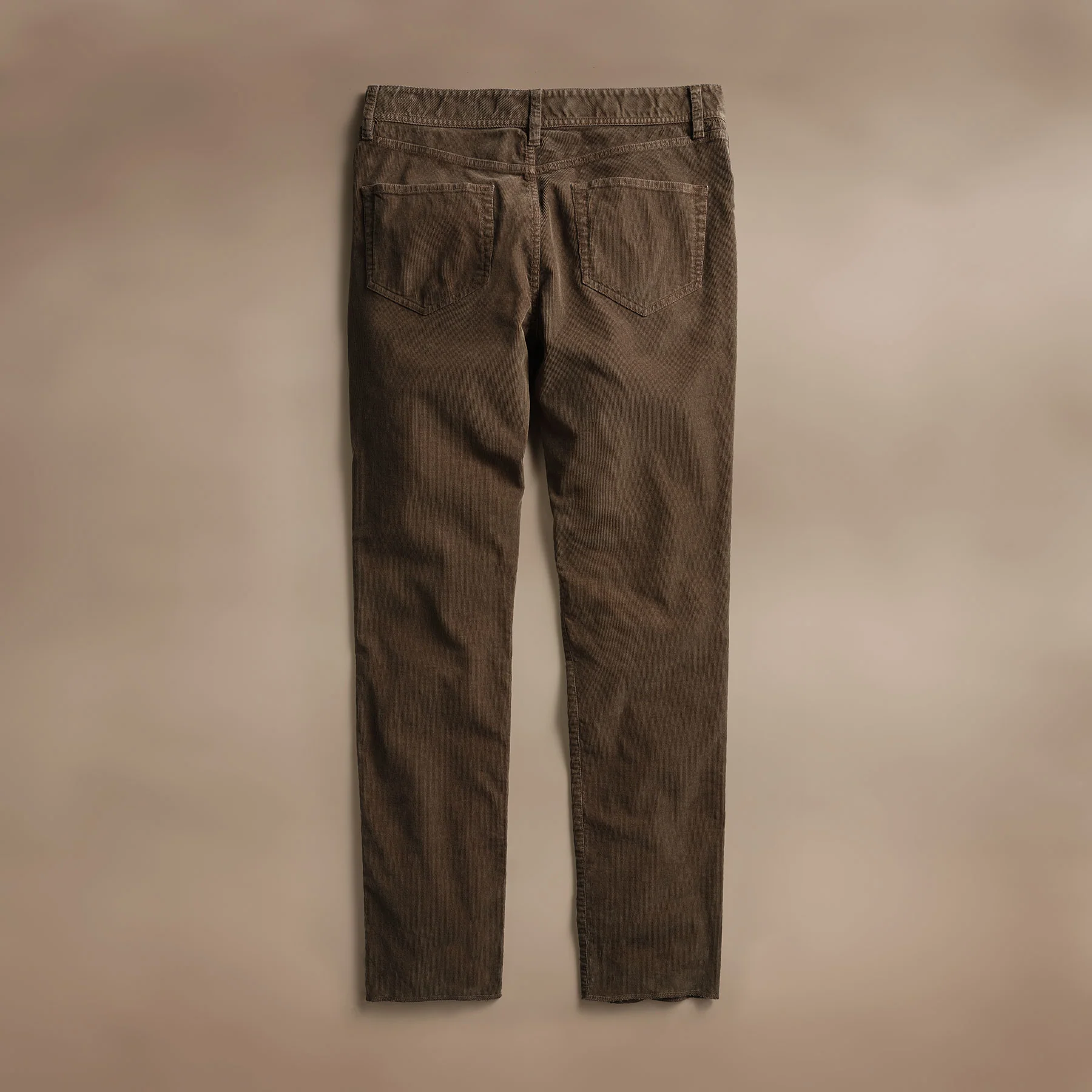 Corduroy 5 Pocket Pant - Umber Pigment - Image 5
