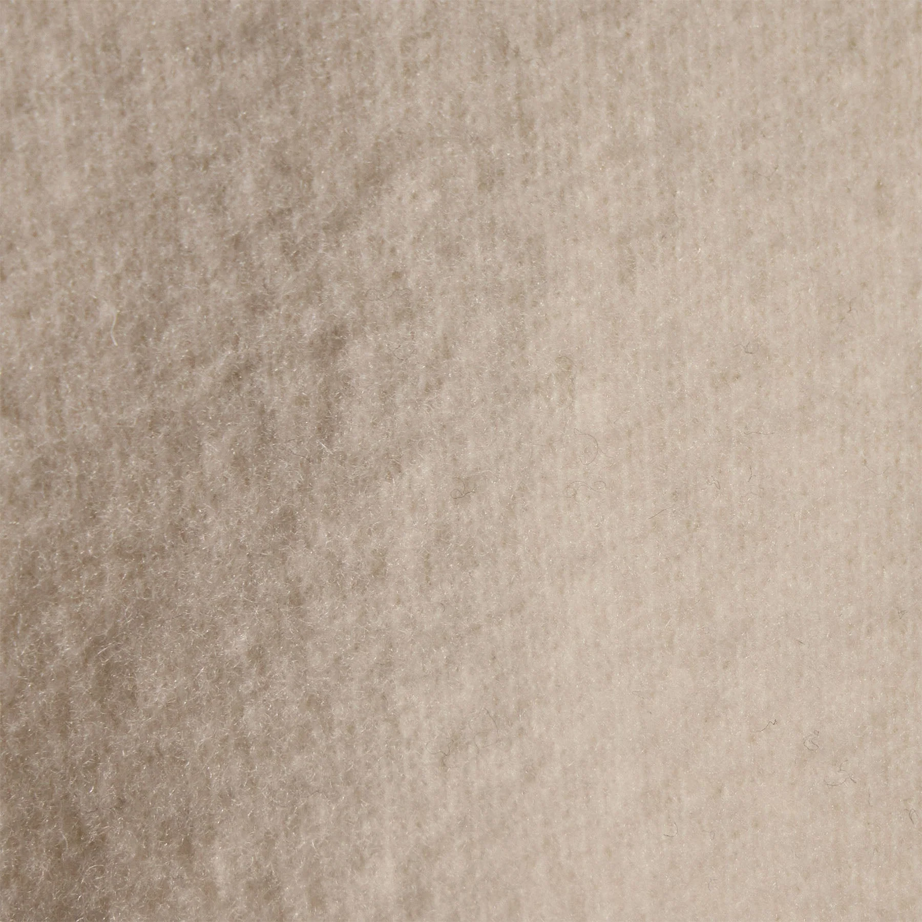 Wool Jersey Zip Up Jacket - Ivory - Image 6